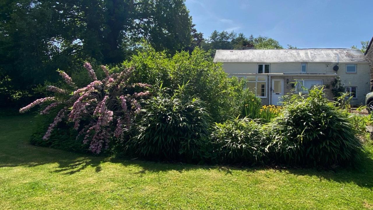 Silhouette Cottage Coleford  Exterior photo